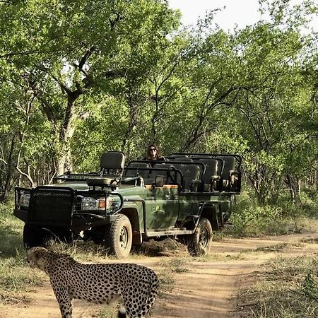 시둘리 프라이빗 게임 로지 Karongwe Game Reserve 외부 사진