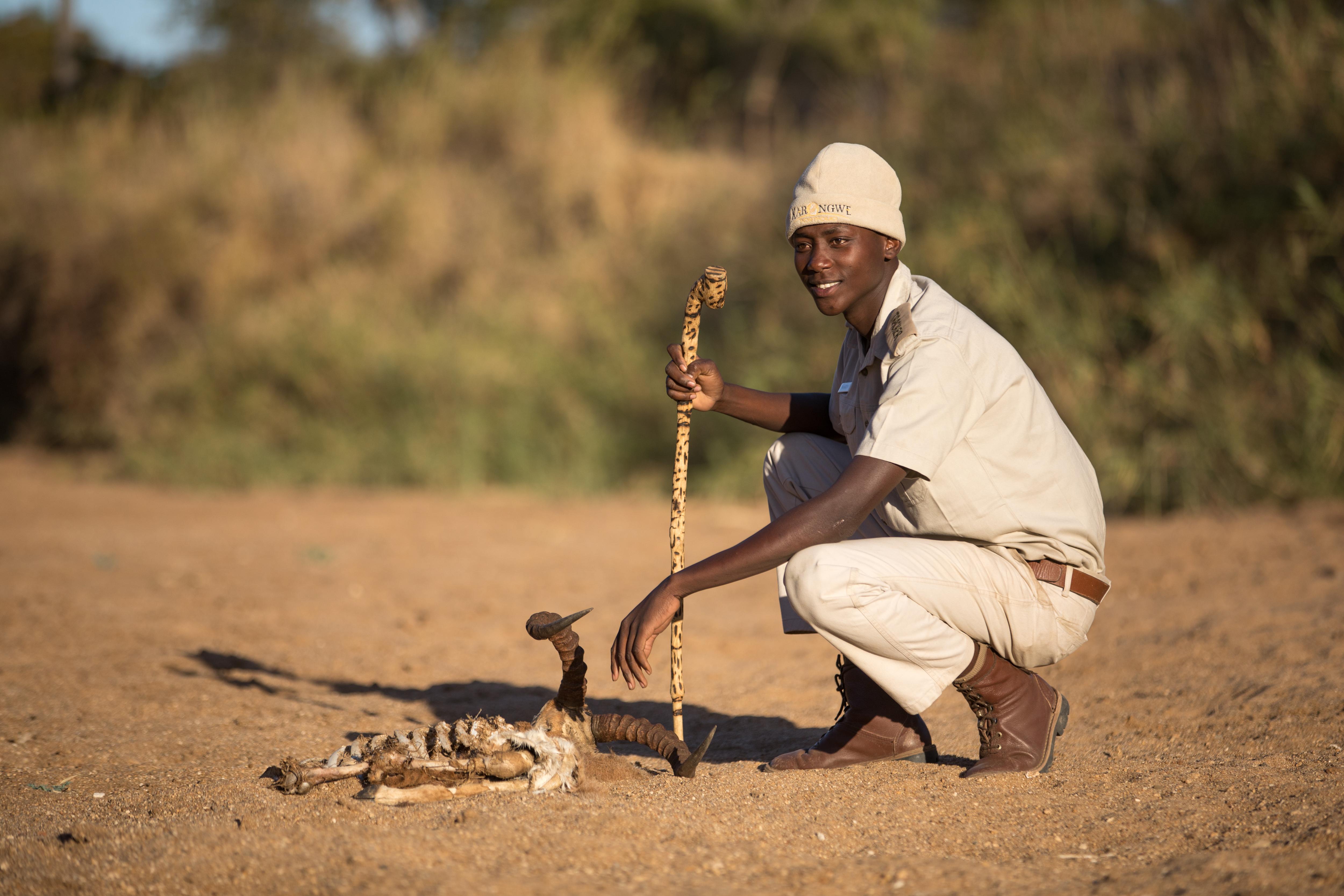 시둘리 프라이빗 게임 로지 Karongwe Game Reserve 외부 사진