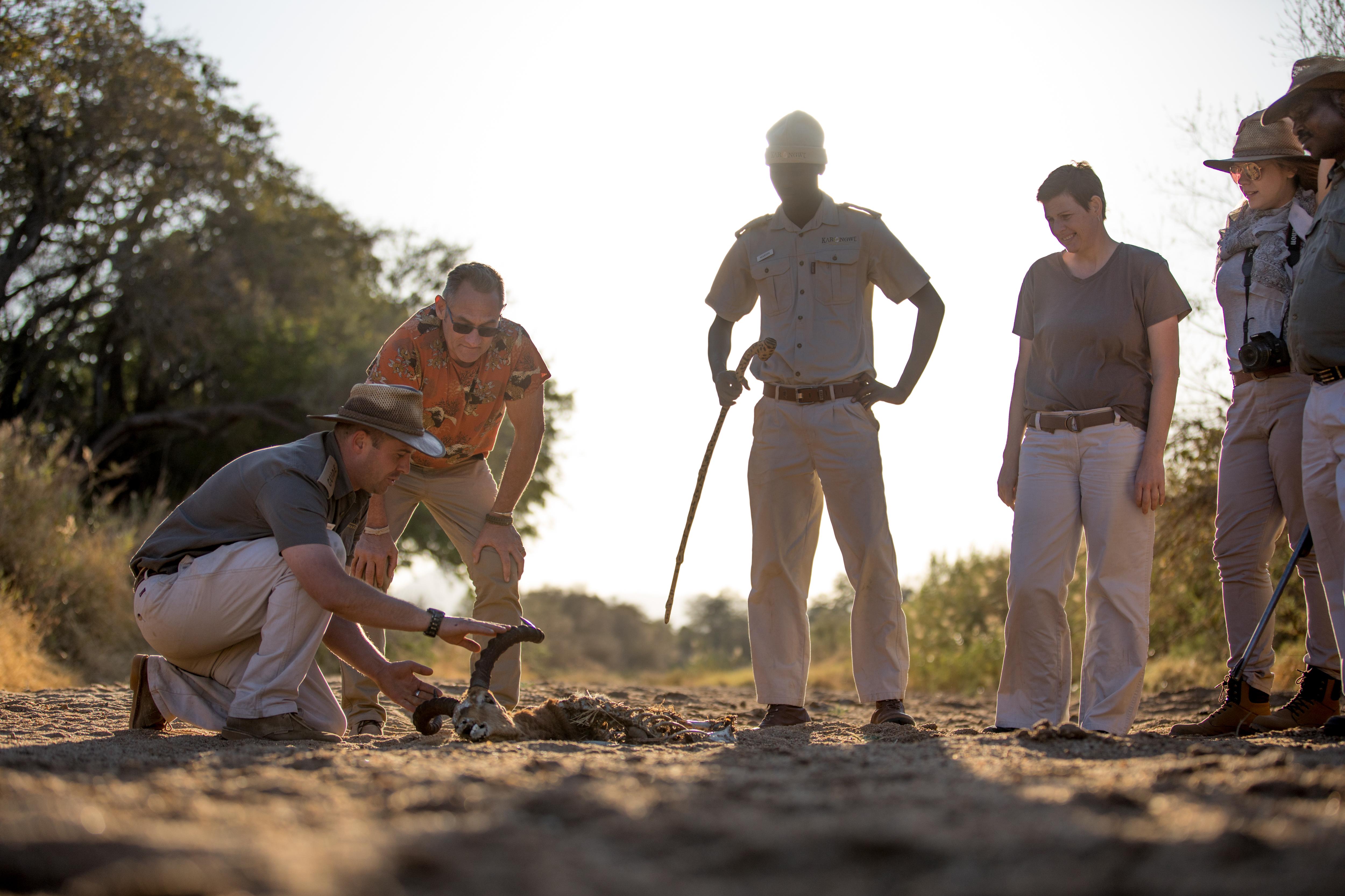 시둘리 프라이빗 게임 로지 Karongwe Game Reserve 외부 사진