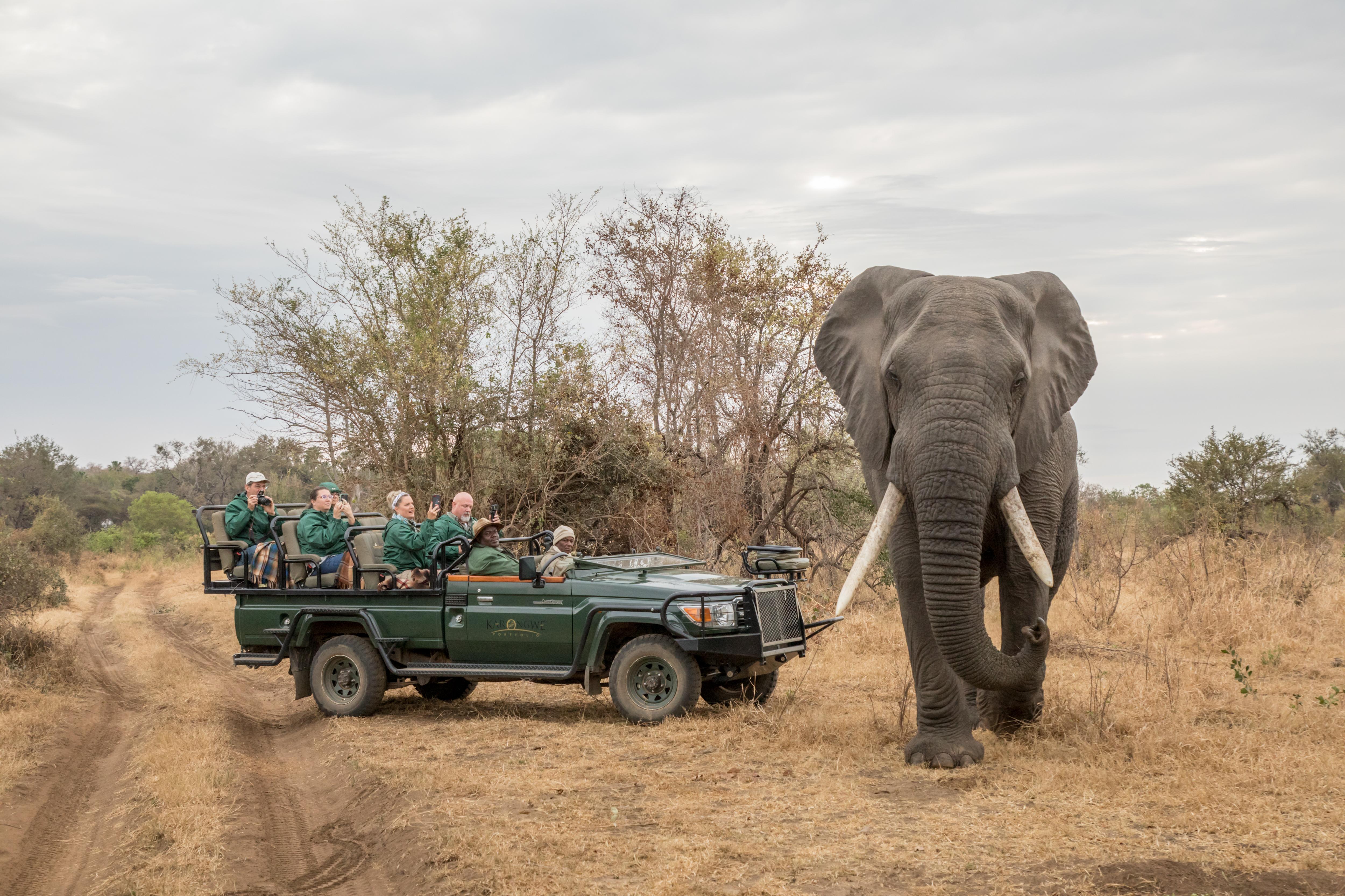시둘리 프라이빗 게임 로지 Karongwe Game Reserve 외부 사진