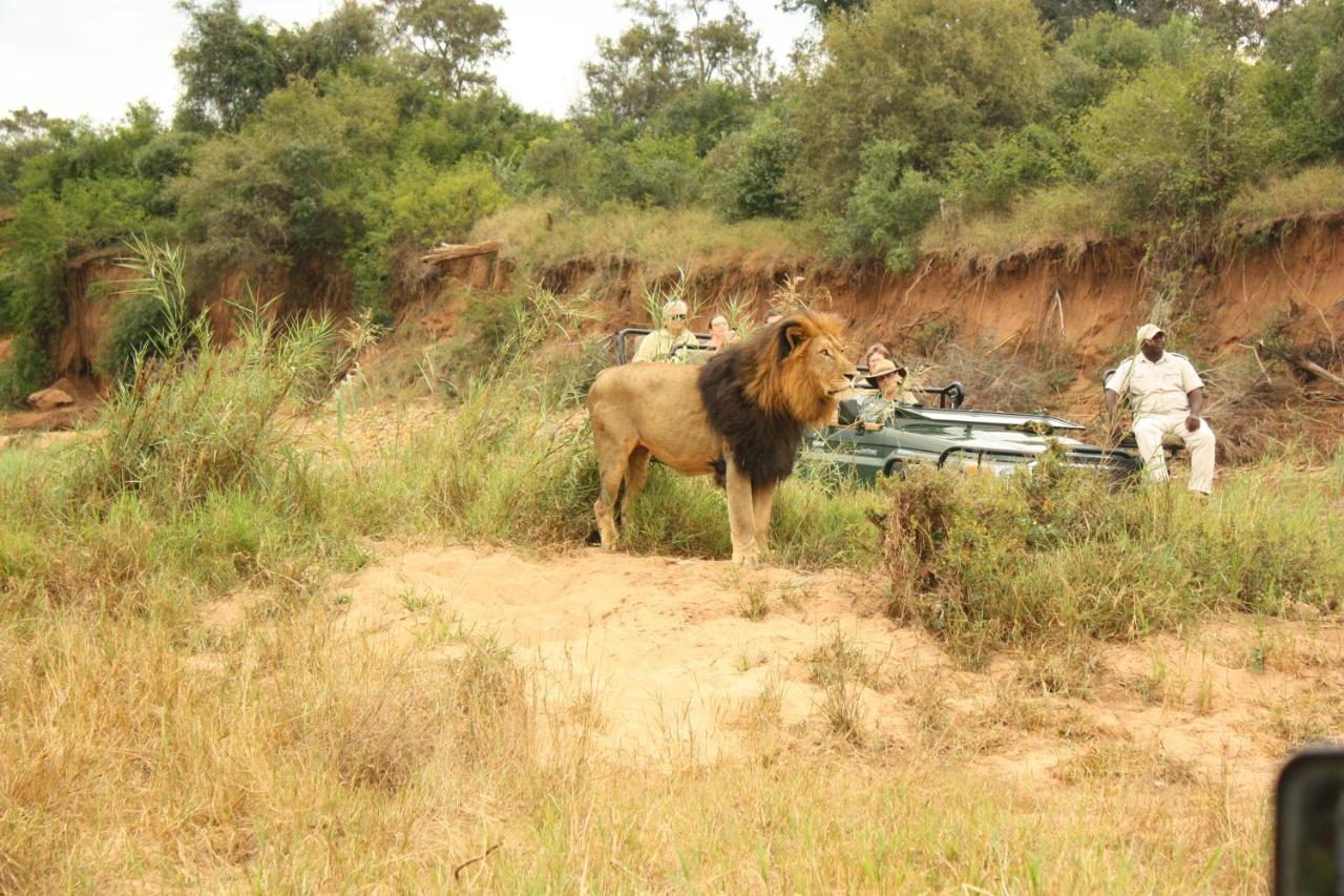 시둘리 프라이빗 게임 로지 Karongwe Game Reserve 외부 사진