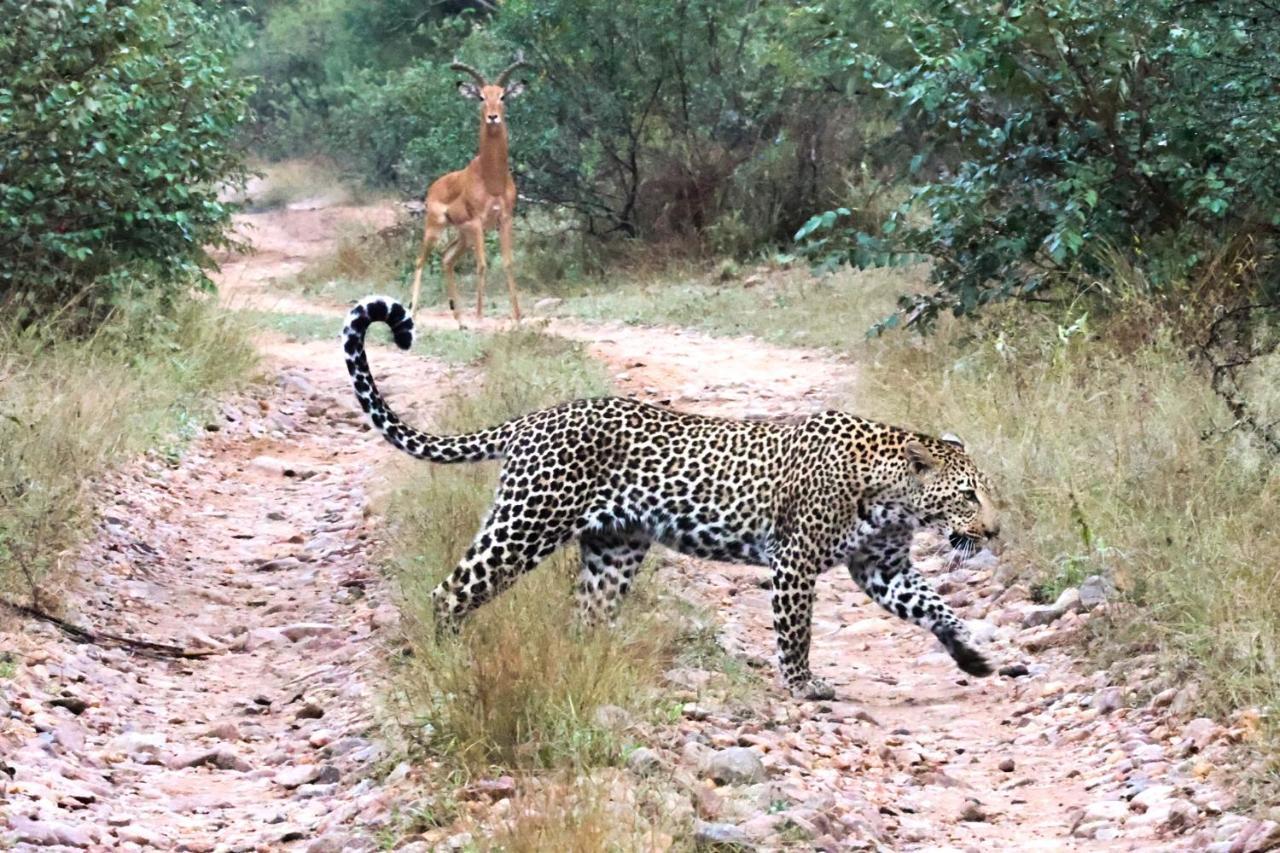 시둘리 프라이빗 게임 로지 Karongwe Game Reserve 외부 사진
