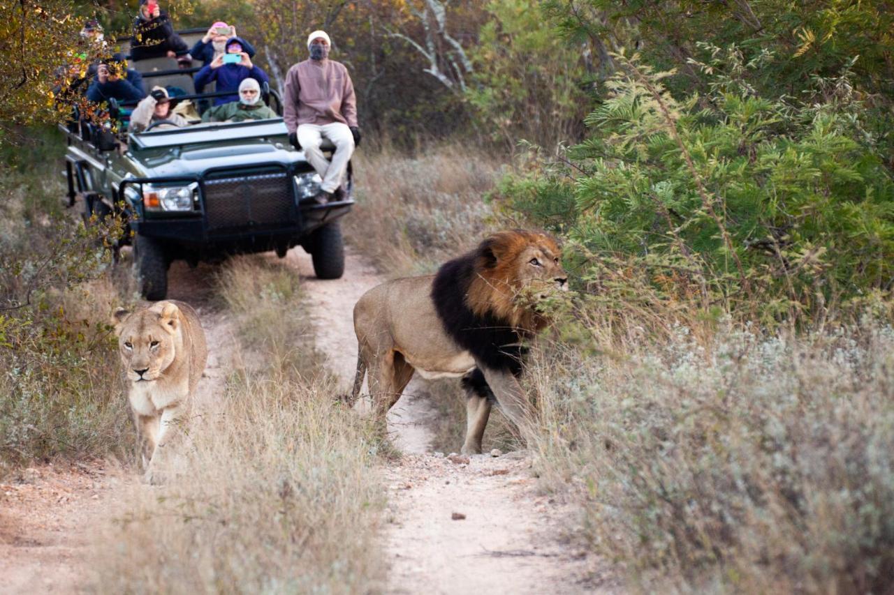 시둘리 프라이빗 게임 로지 Karongwe Game Reserve 외부 사진