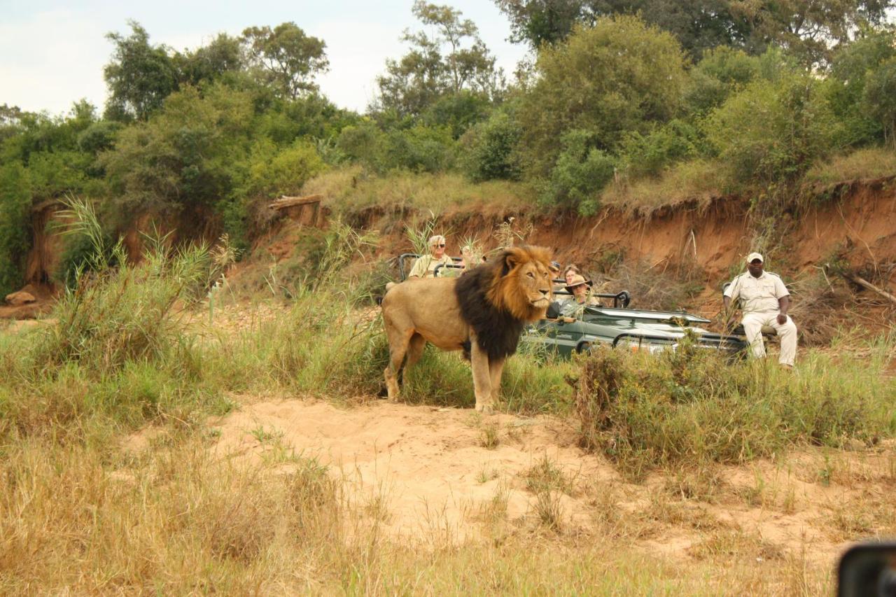 시둘리 프라이빗 게임 로지 Karongwe Game Reserve 외부 사진