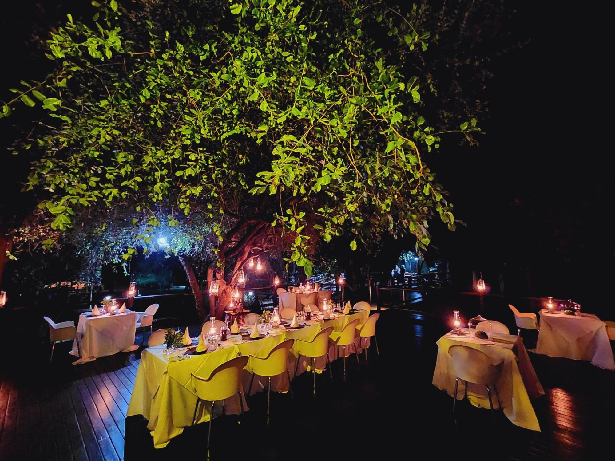 시둘리 프라이빗 게임 로지 Karongwe Game Reserve 외부 사진